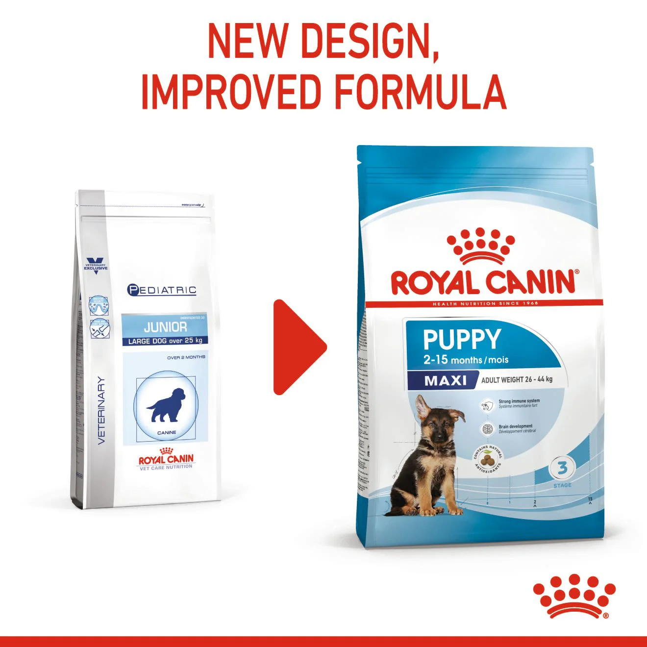 Royal Canin Puppy Maxi Dry Food - Image 3