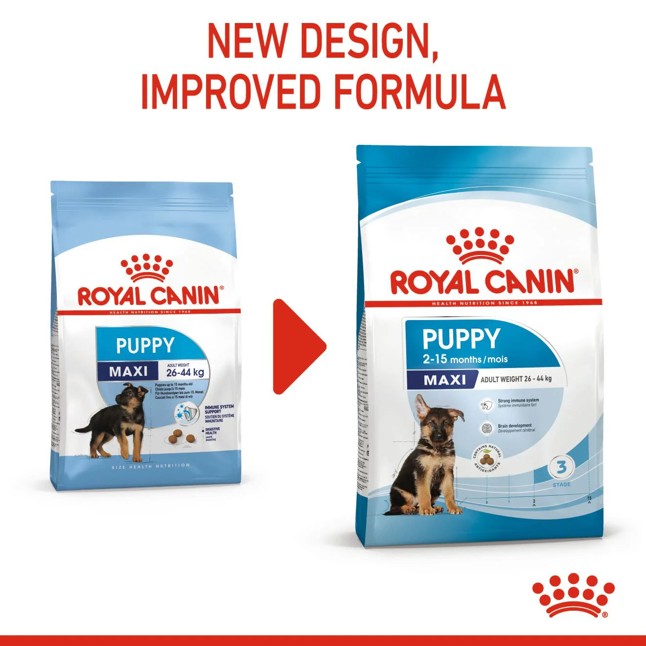 Royal Canin Puppy Maxi Dry Food - Image 4