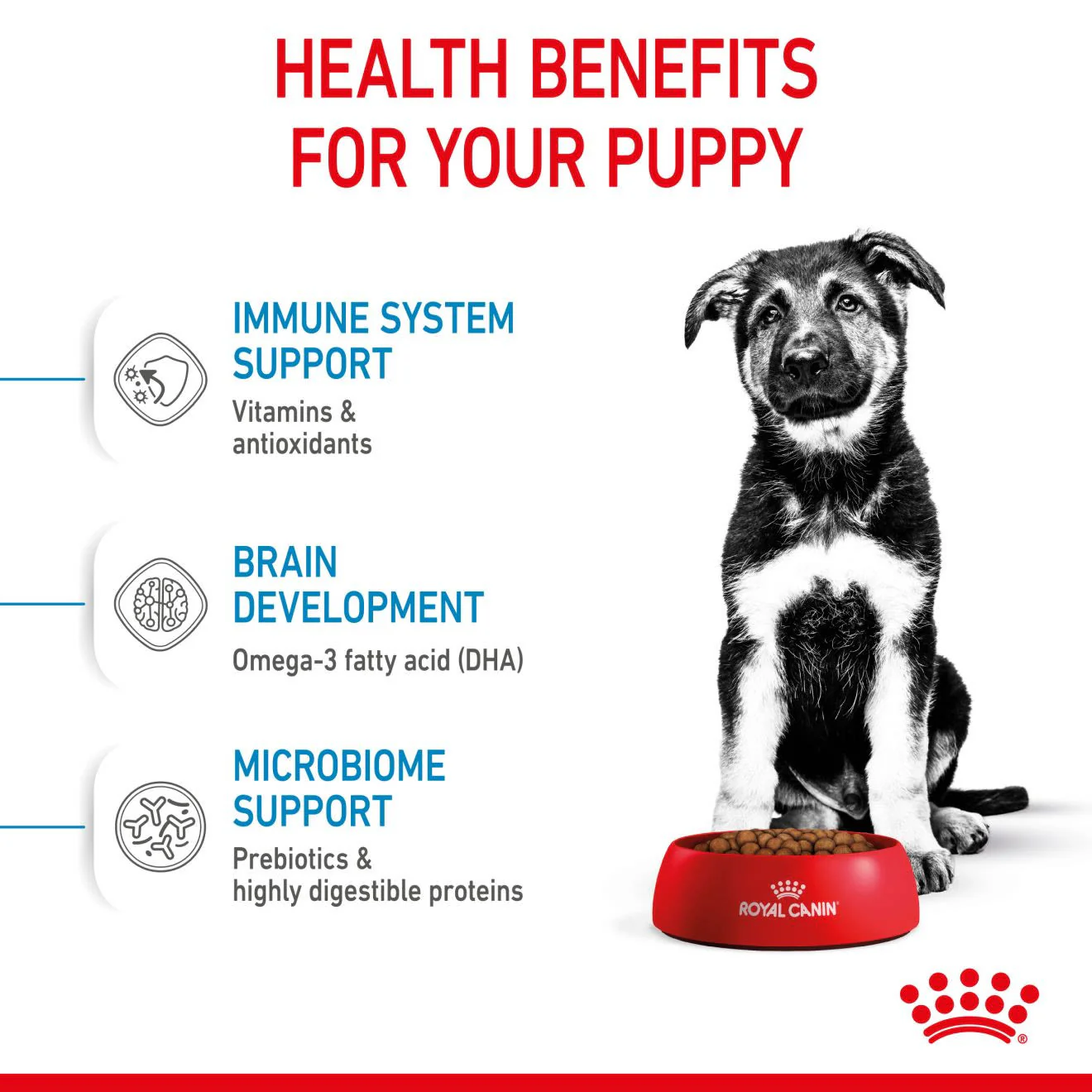 Royal Canin Puppy Maxi Dry Food - Image 5