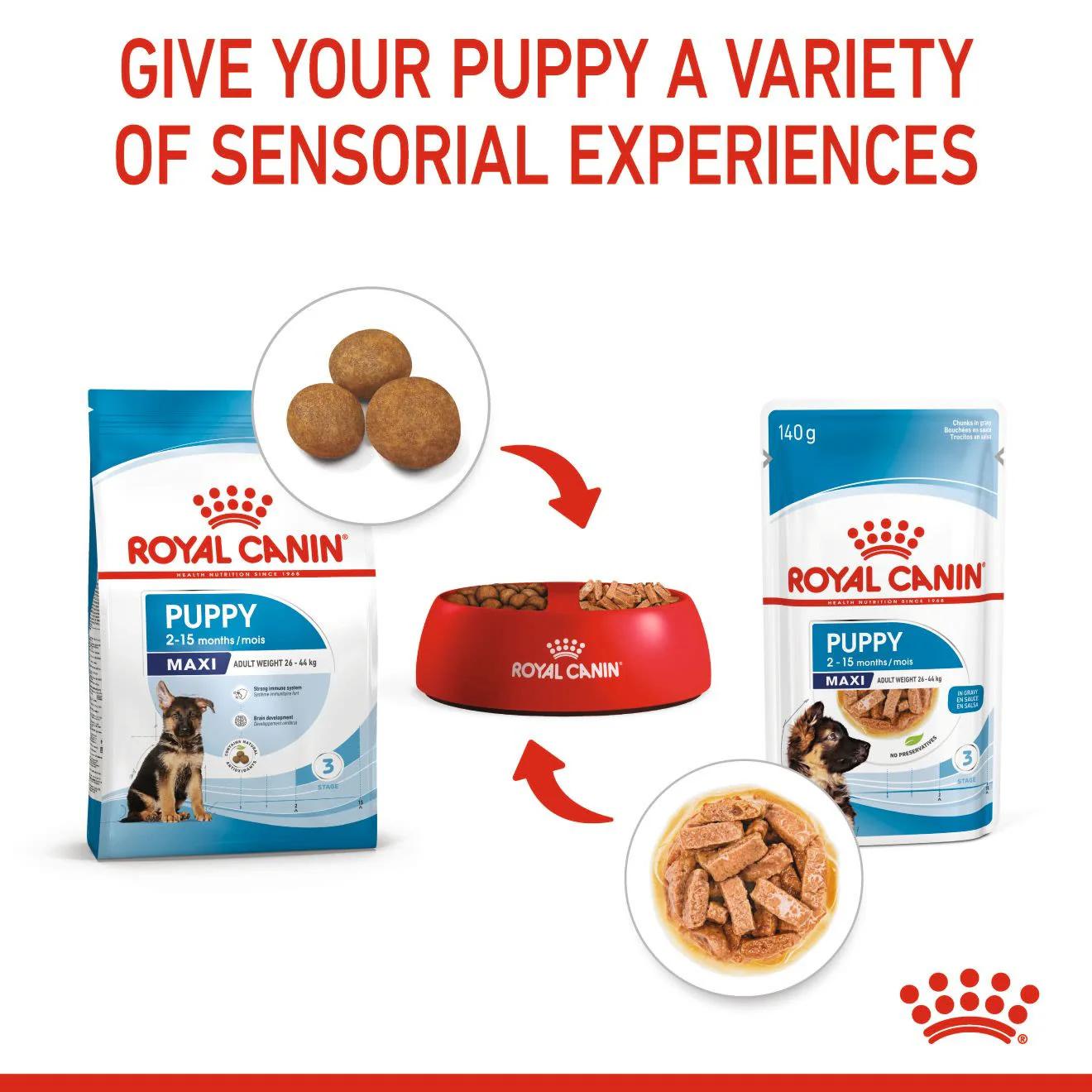Royal Canin Puppy Maxi Dry Food - Image 6
