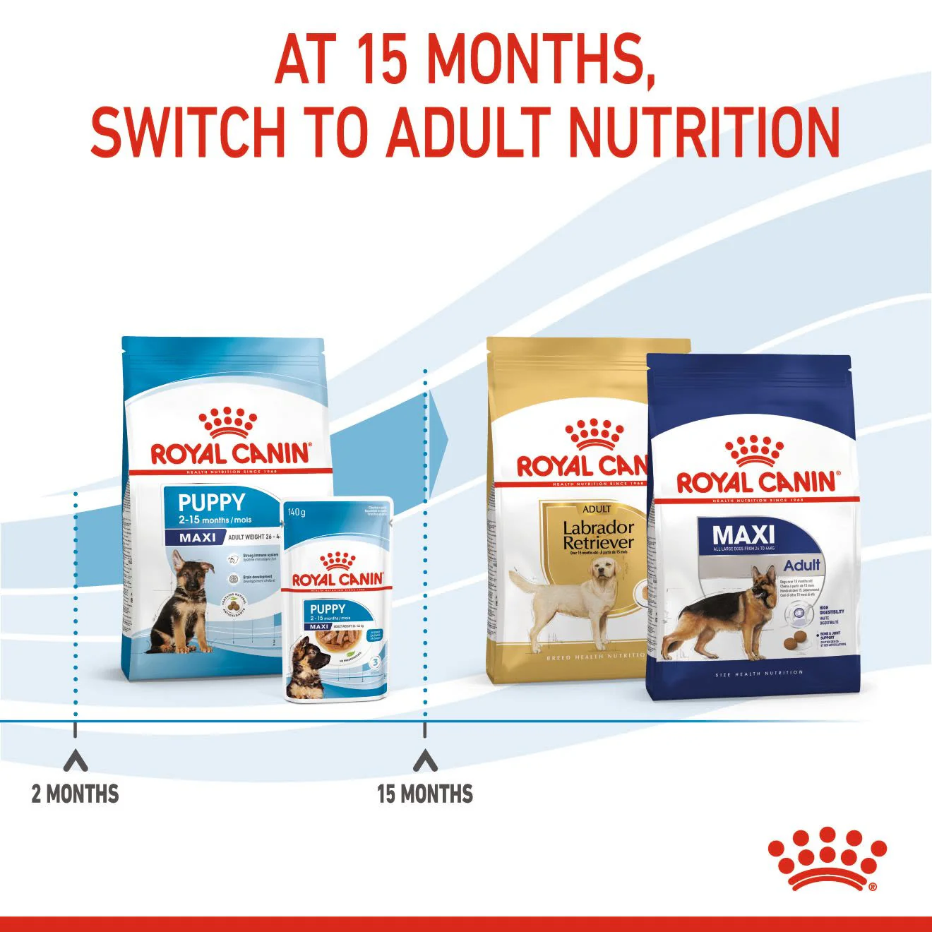 Royal Canin Puppy Maxi Dry Food - Image 7