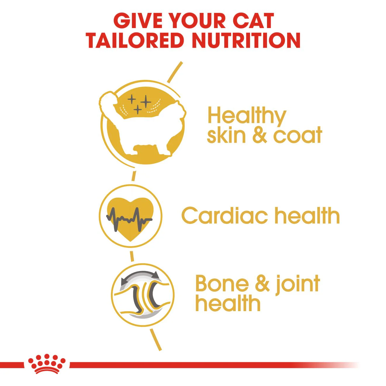 Royal Canin Ragdoll Adult Dry Cat Food - 400g - Image 5