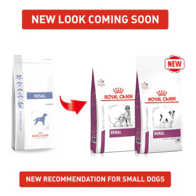 Royal Canin Renal Adult Dry Dog Food - Image 2
