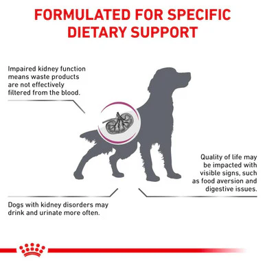 Royal Canin Renal Special Adult Dry Dog Food - Image 7
