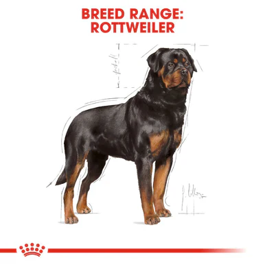 Royal Canin Rottweiler Adult Dry Dog Food - Image 3