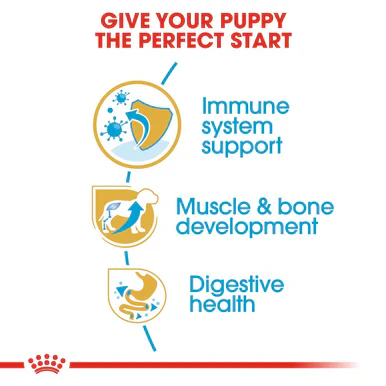 Royal Canin Rottweiler Puppy Dry Food - Image 4