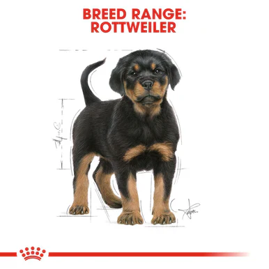 Royal Canin Rottweiler Puppy Dry Food - Image 5