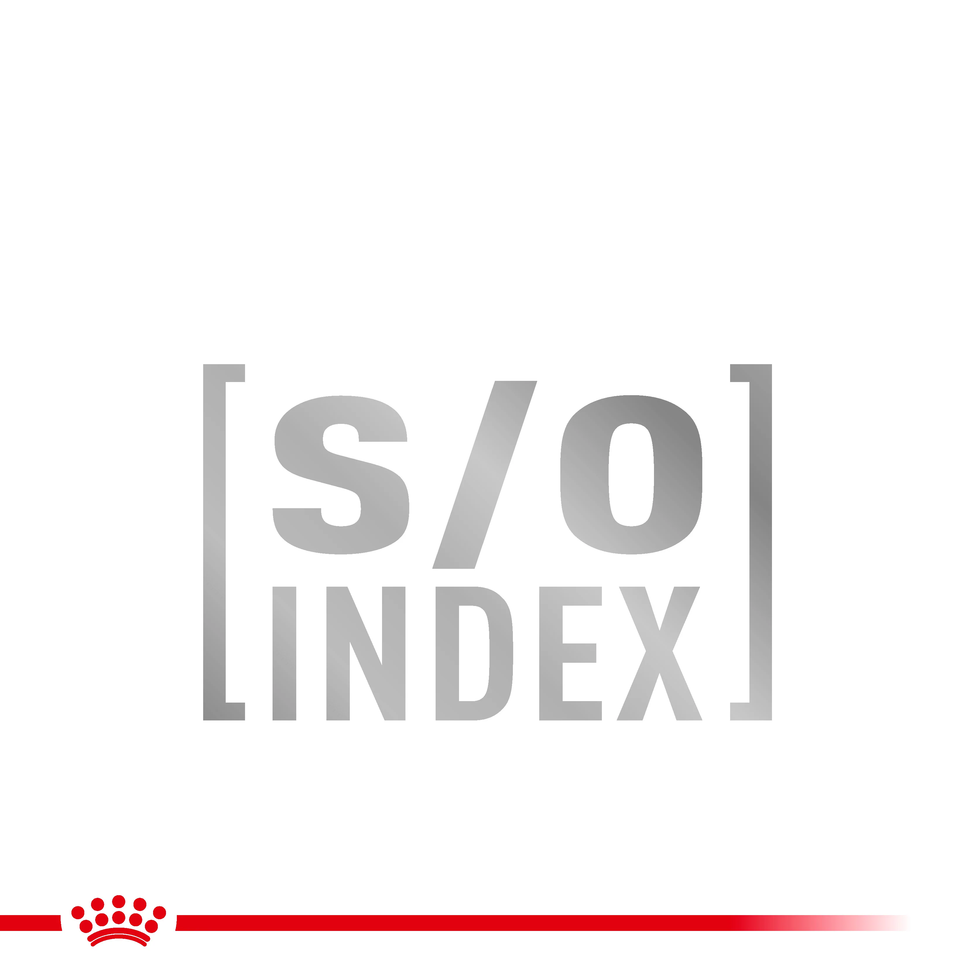 Royal Canin Satiety Weight Management Adult Dry Cat Food - Image 4