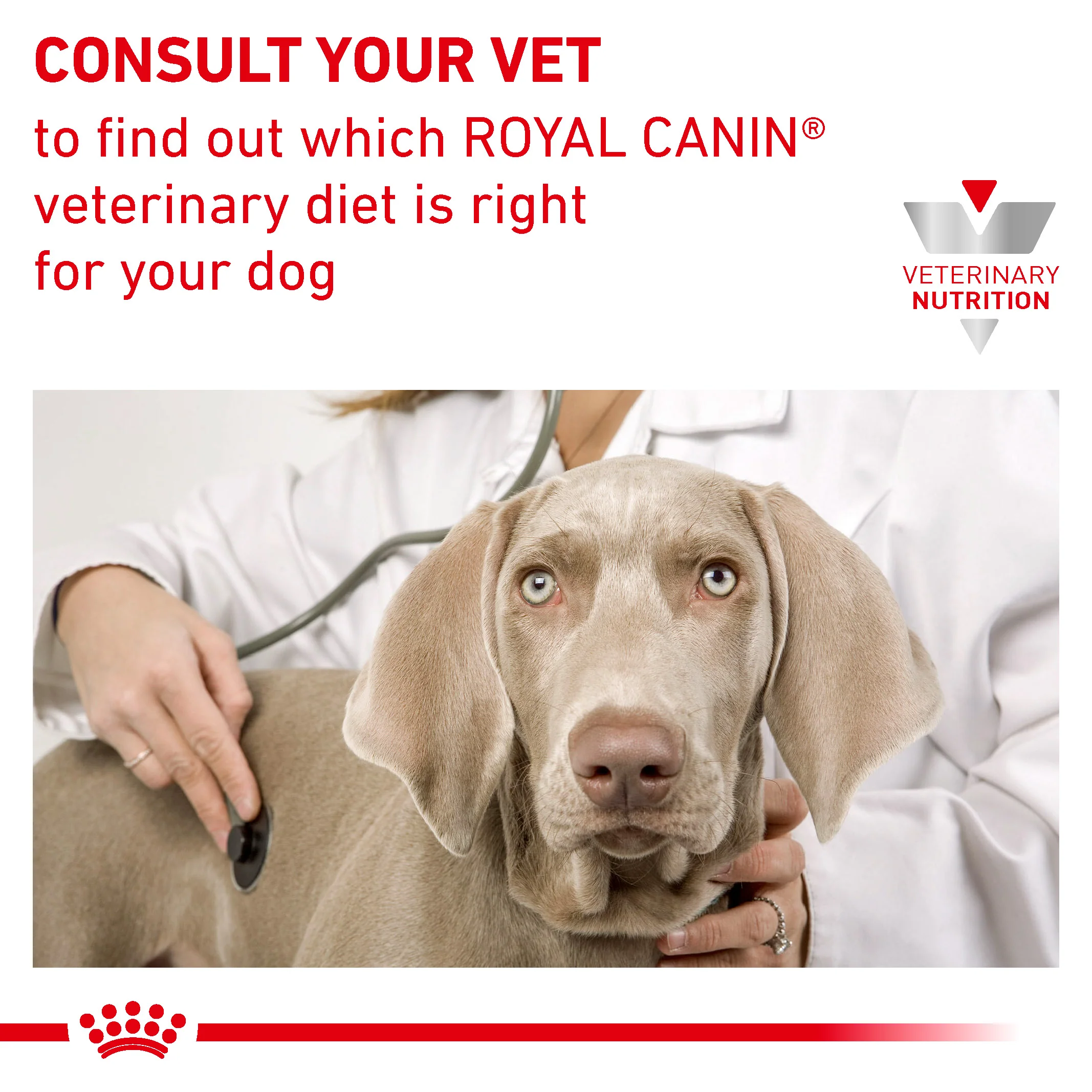 Royal Canin Satiety Weight Management Small Dog Adult Dry Dog Food - Image 3