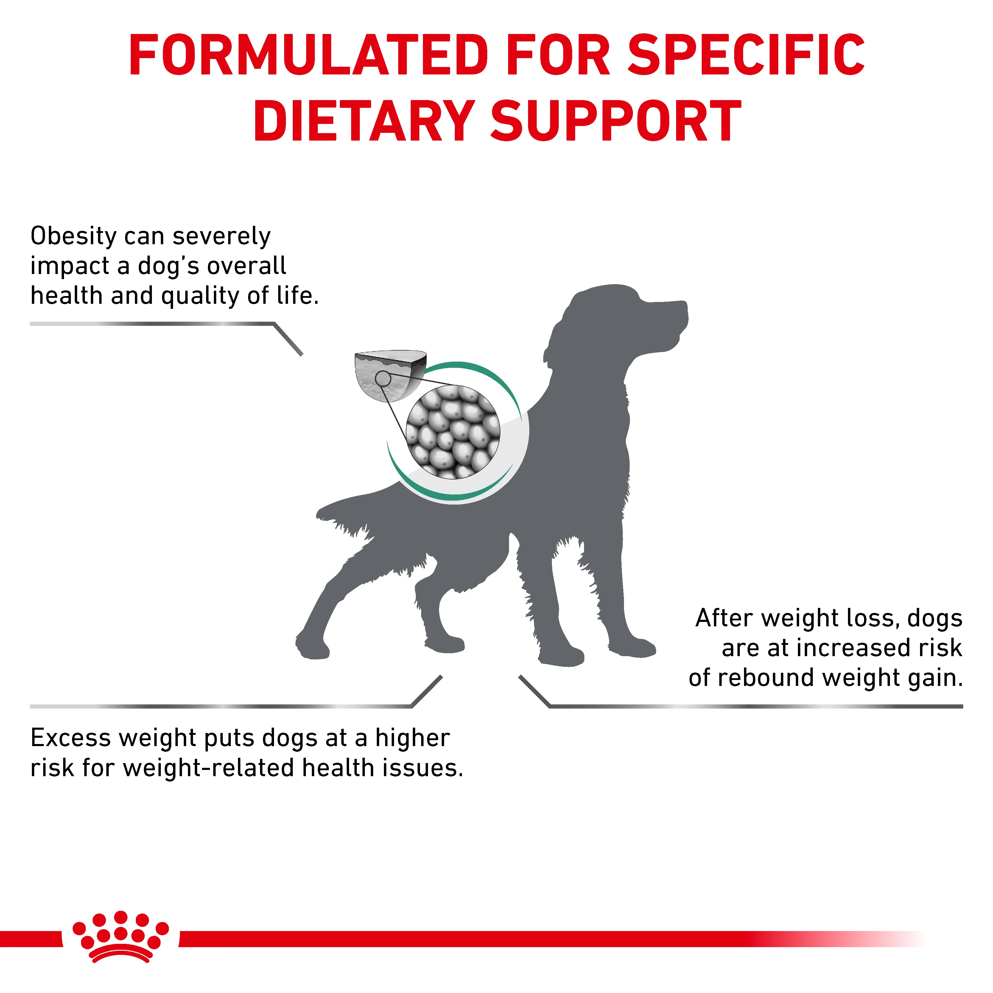 Royal Canin Satiety Weight Management Adult Dry Dog Food - Image 2