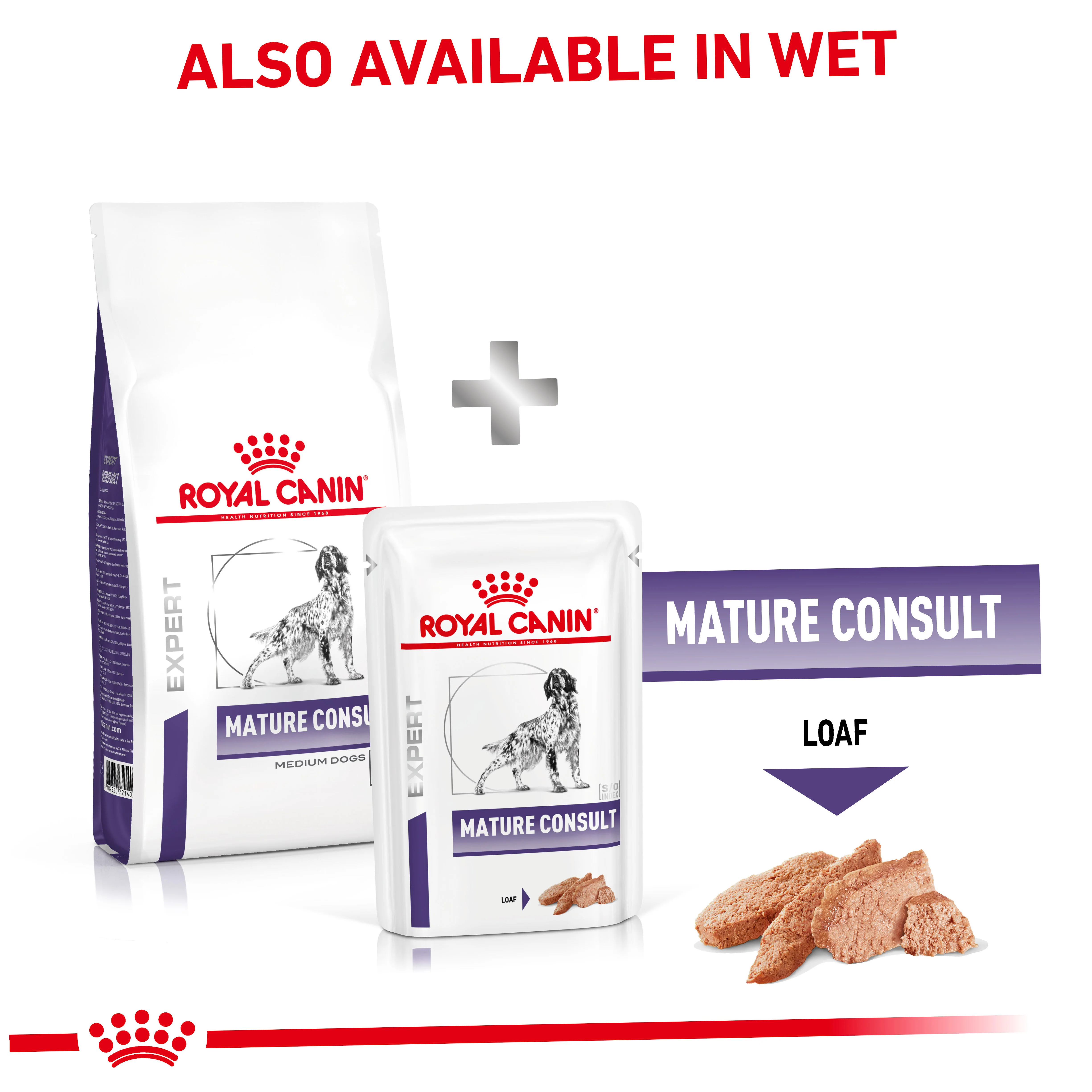 Royal Canin Mature Consult Medium Dog Senior Dry Dog Food - Image 4