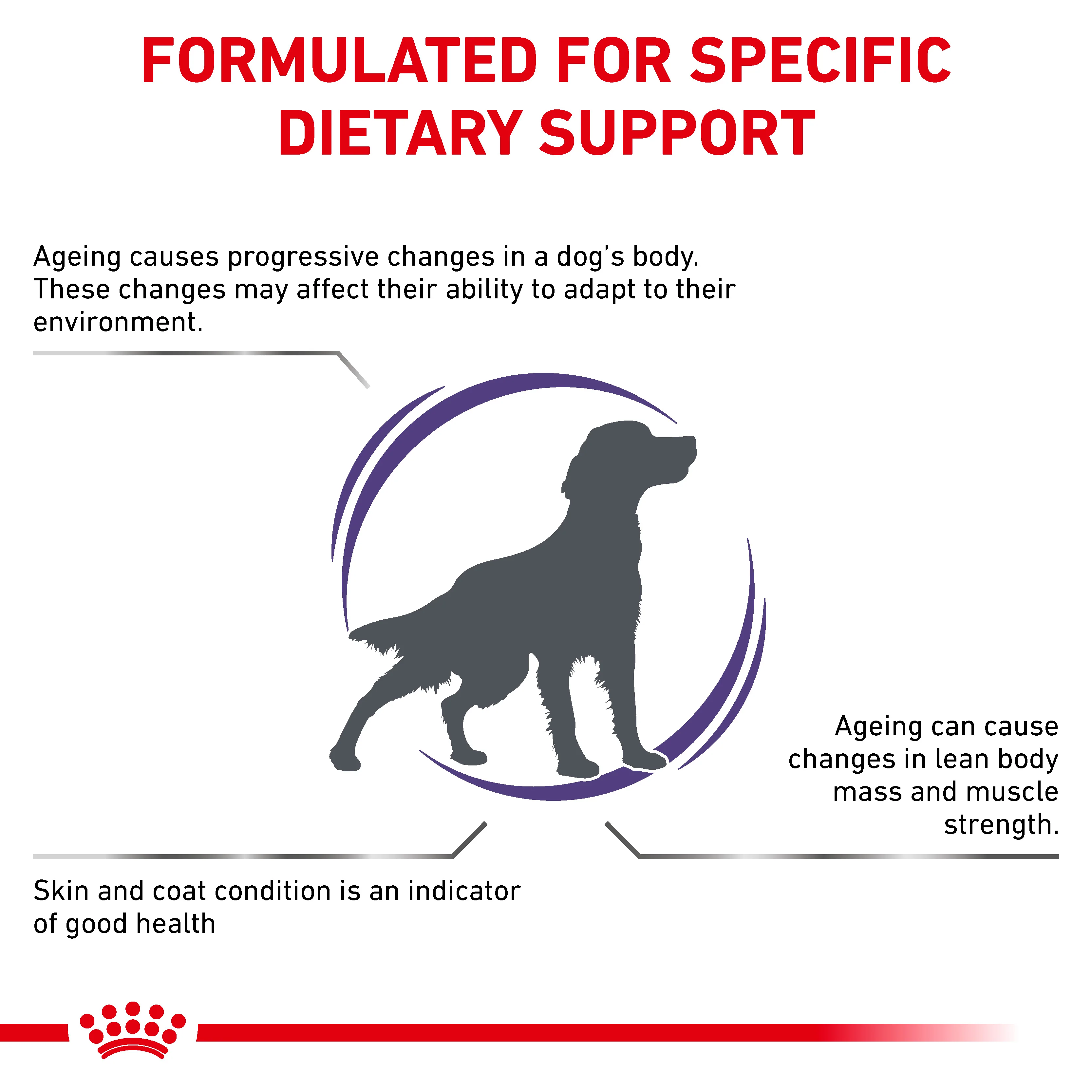 Royal Canin Mature Consult Medium Dog Senior Dry Dog Food - Image 7