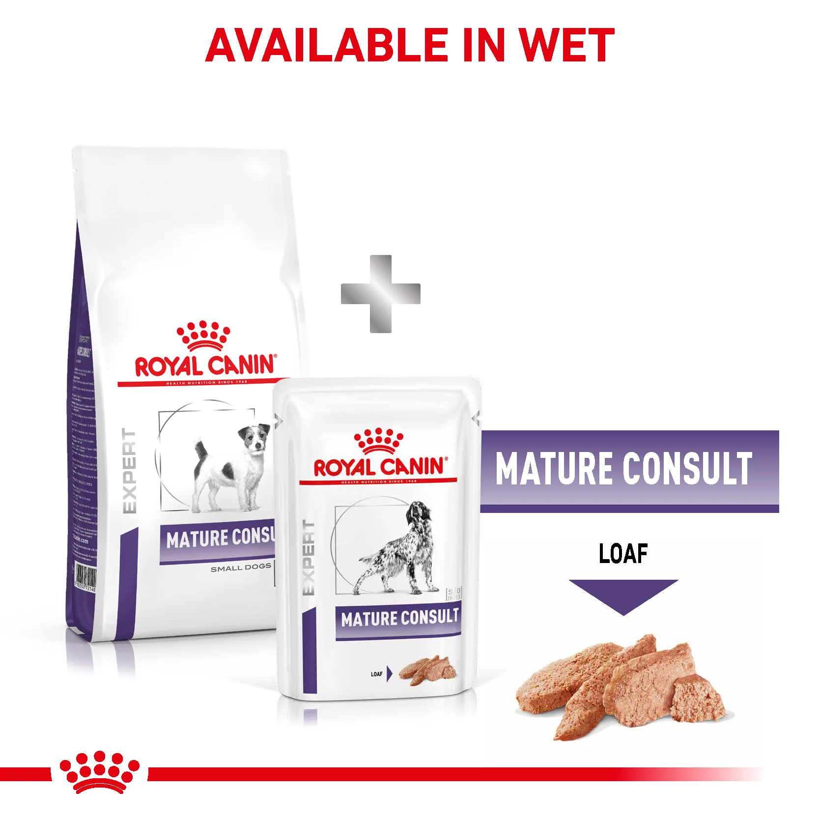 Royal Canin Mature Consult Small Dog Senior Dry Dog Food - Image 3