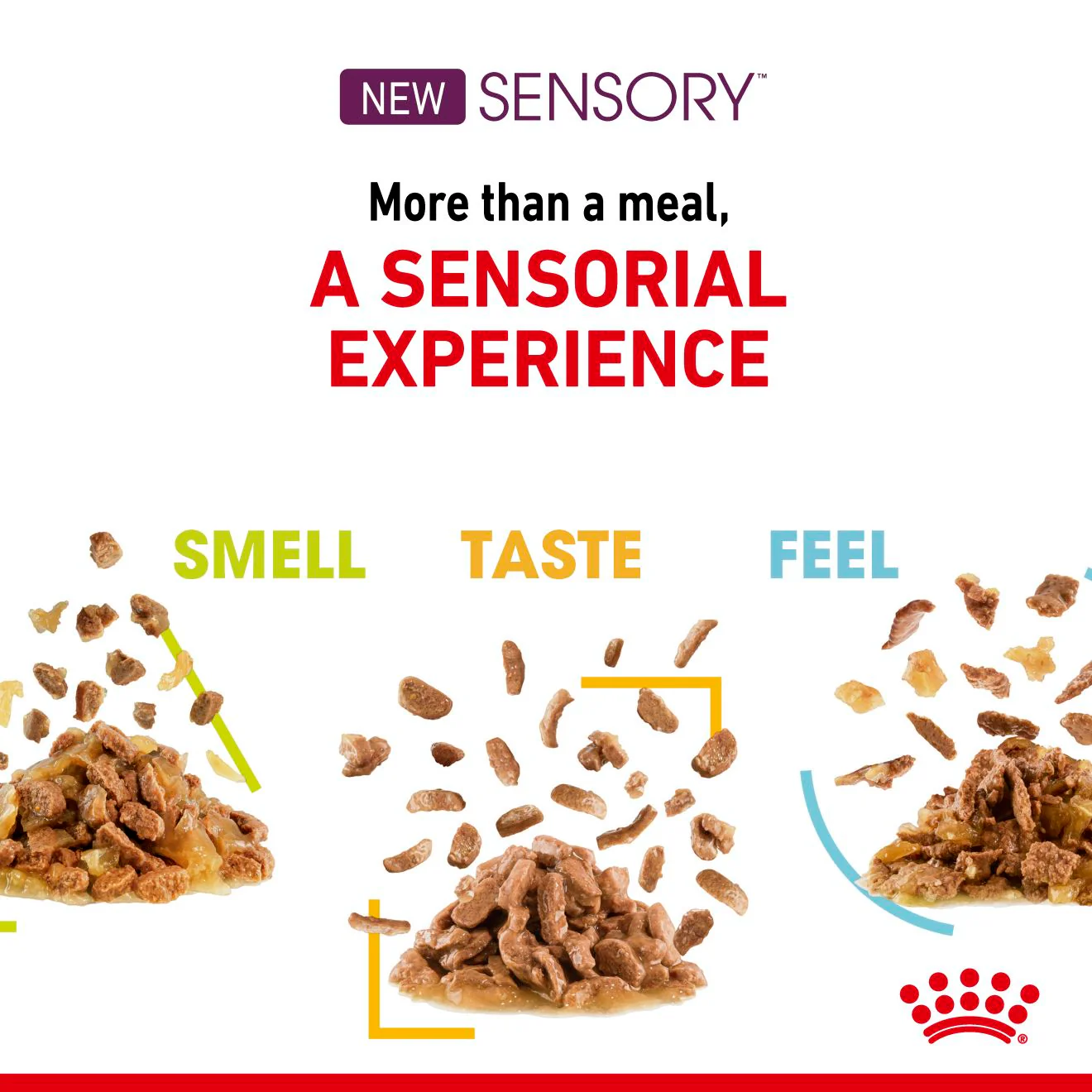 Royal Canin Sensory Feel Wet Cat Food in Gravy - Image 4