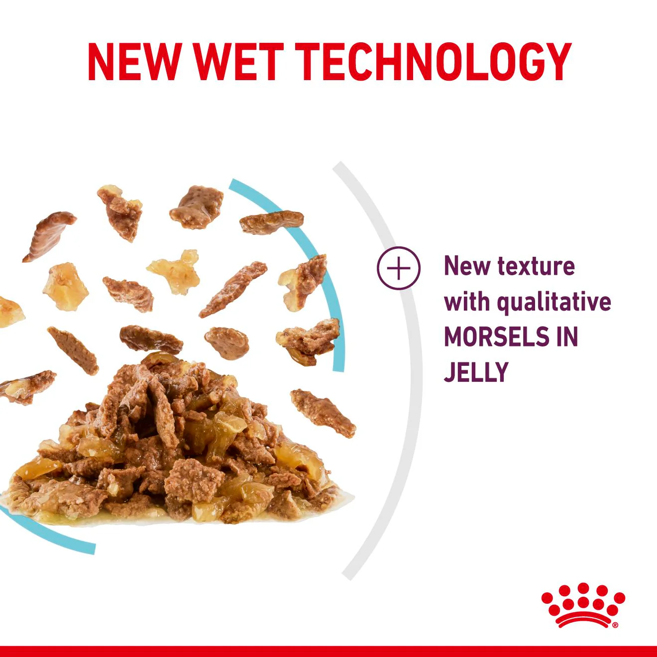Royal Canin Sensory Feel Wet Cat Food in Jelly - Image 5