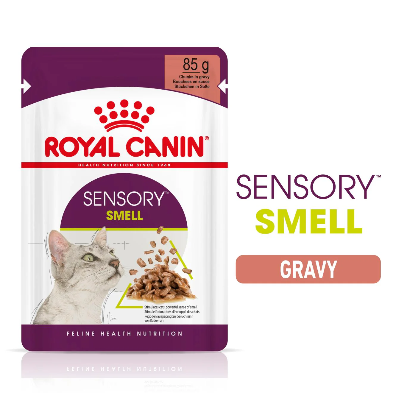 Royal Canin Sensory Smell Wet Cat Food in Gravy - Image 2