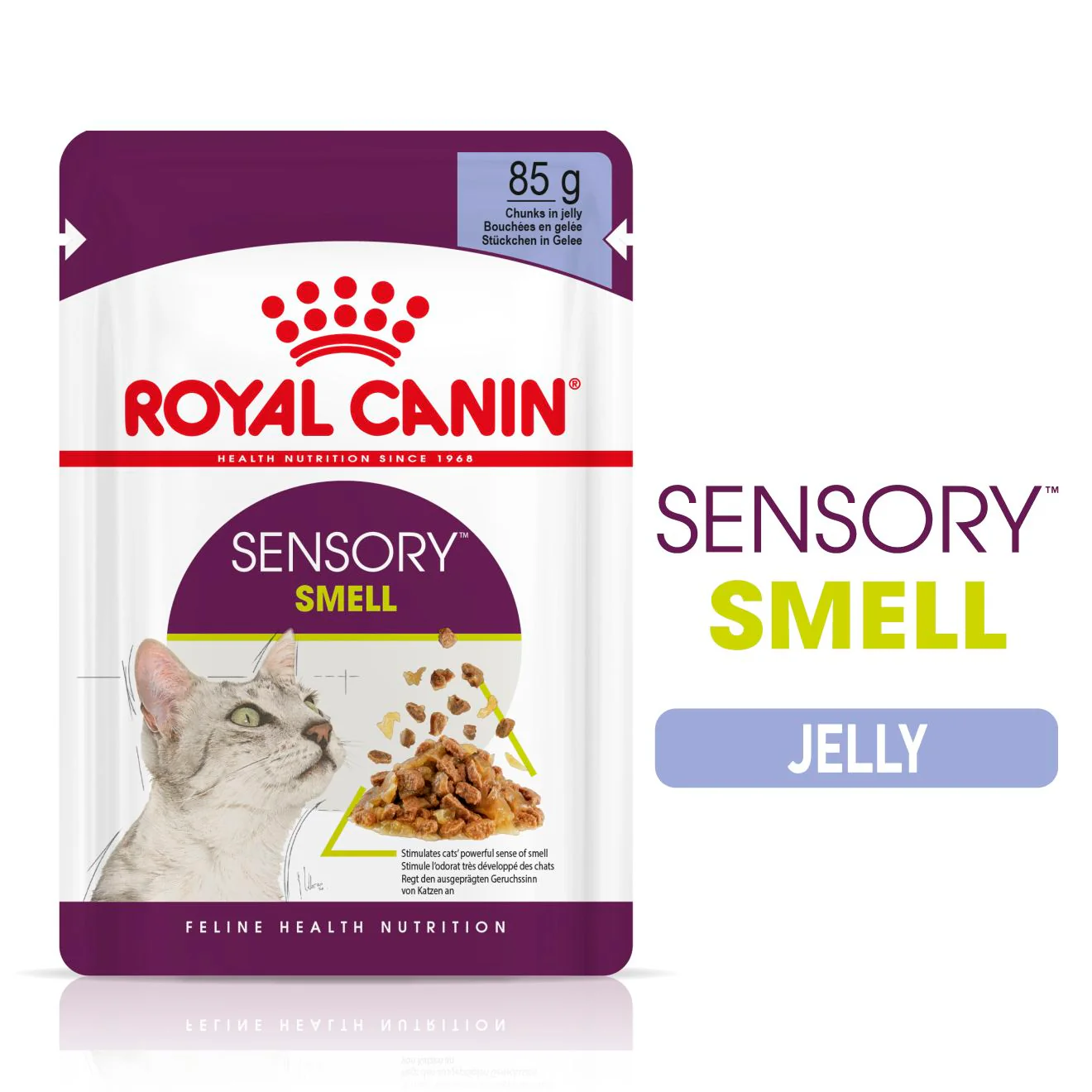 Royal Canin Sensory Smell Wet Cat Food in Jelly - Image 2
