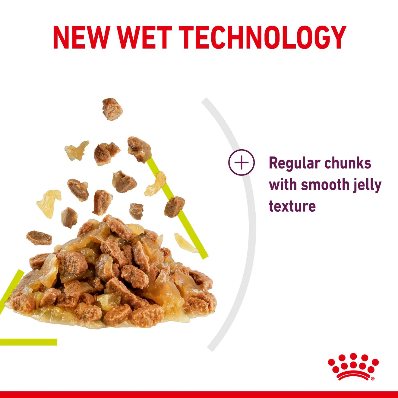 Royal Canin Sensory Smell Wet Cat Food in Jelly - Image 6