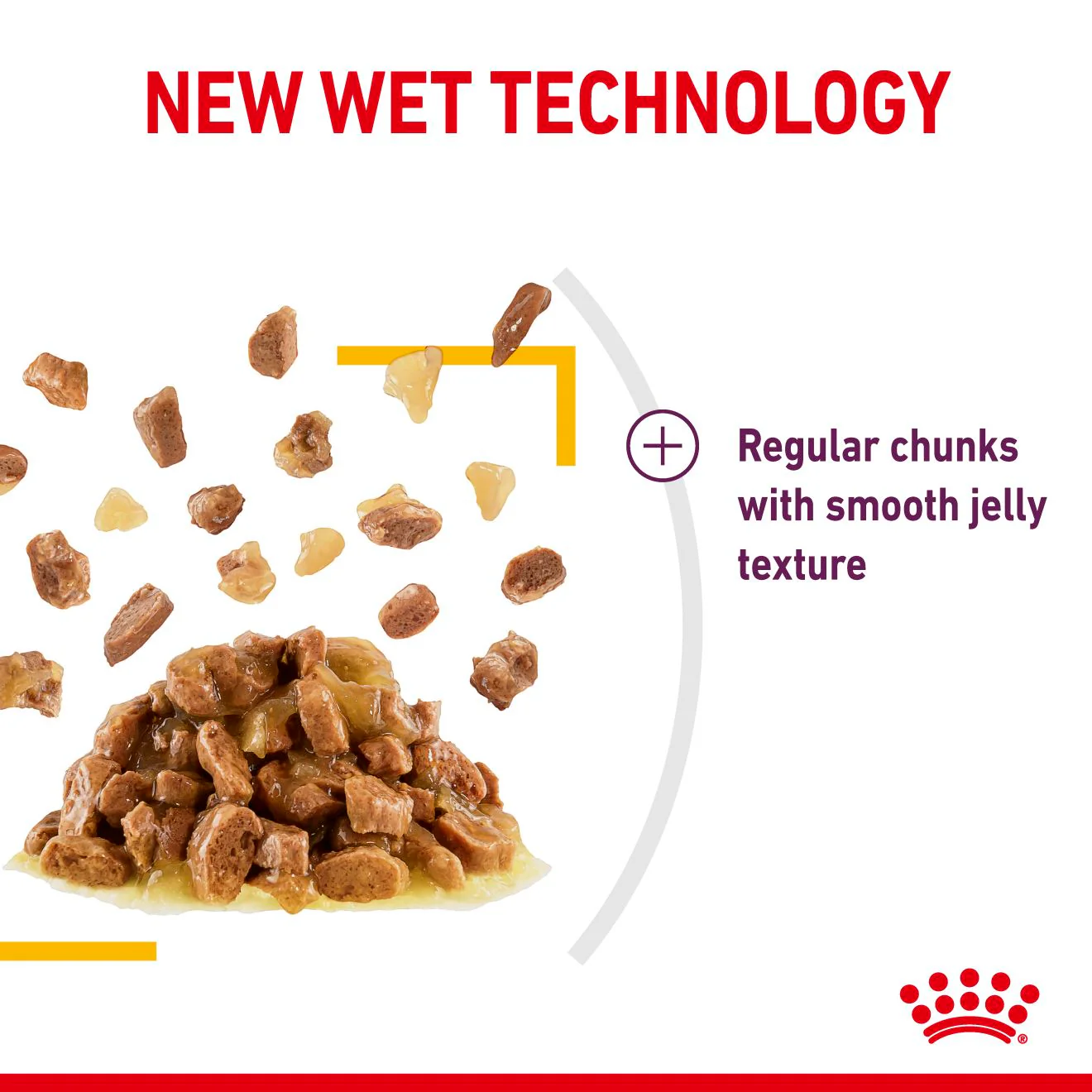 Royal Canin Sensory Taste Wet Cat Food in Jelly - Image 6