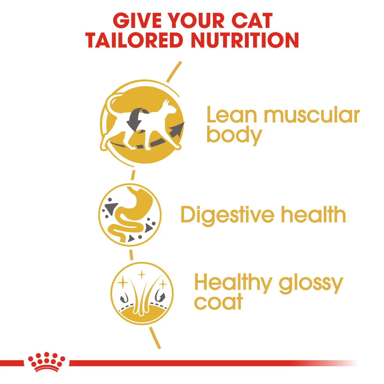 Royal Canin Siamese Adult Dry Cat Food - 10kg - Image 3