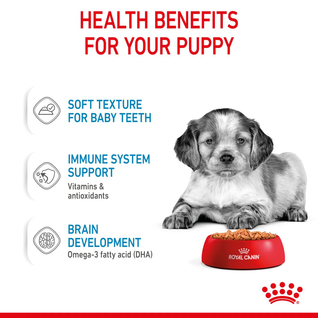 Royal Canin Size Health Nutrition Medium Puppy Multipack in Gravy Wet Dog Food - Image 4
