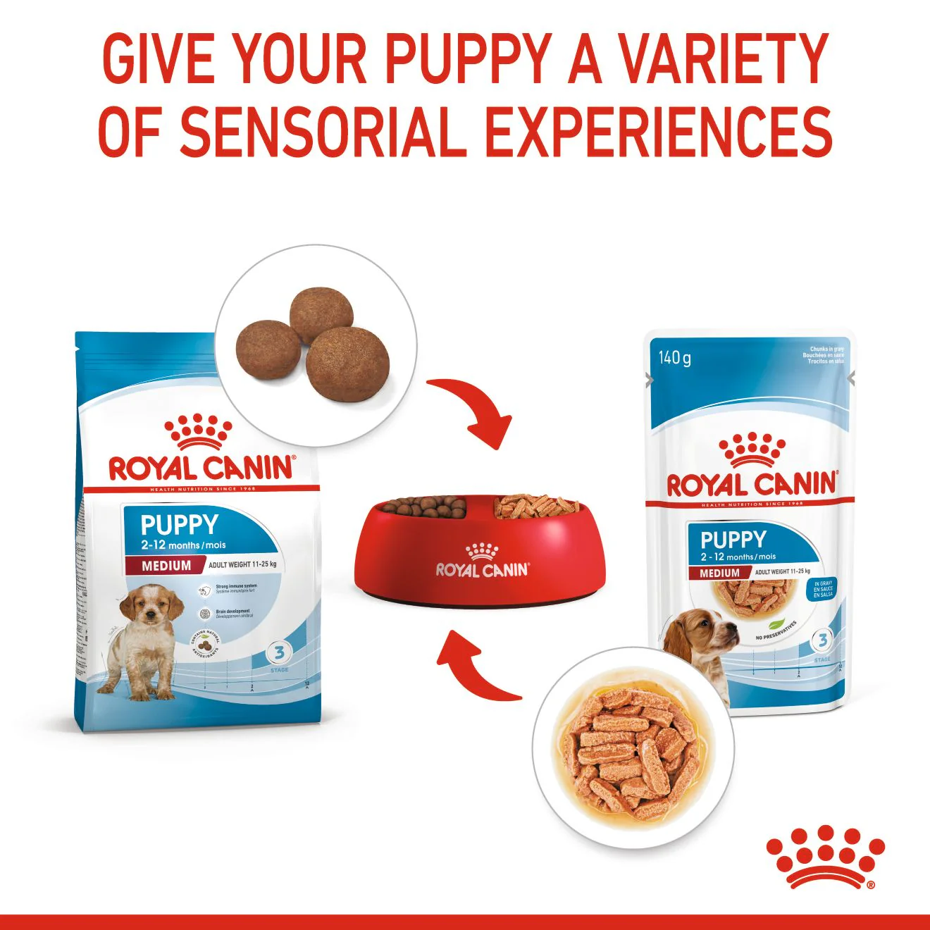 Royal Canin Size Health Nutrition Medium Puppy Multipack in Gravy Wet Dog Food - Image 5