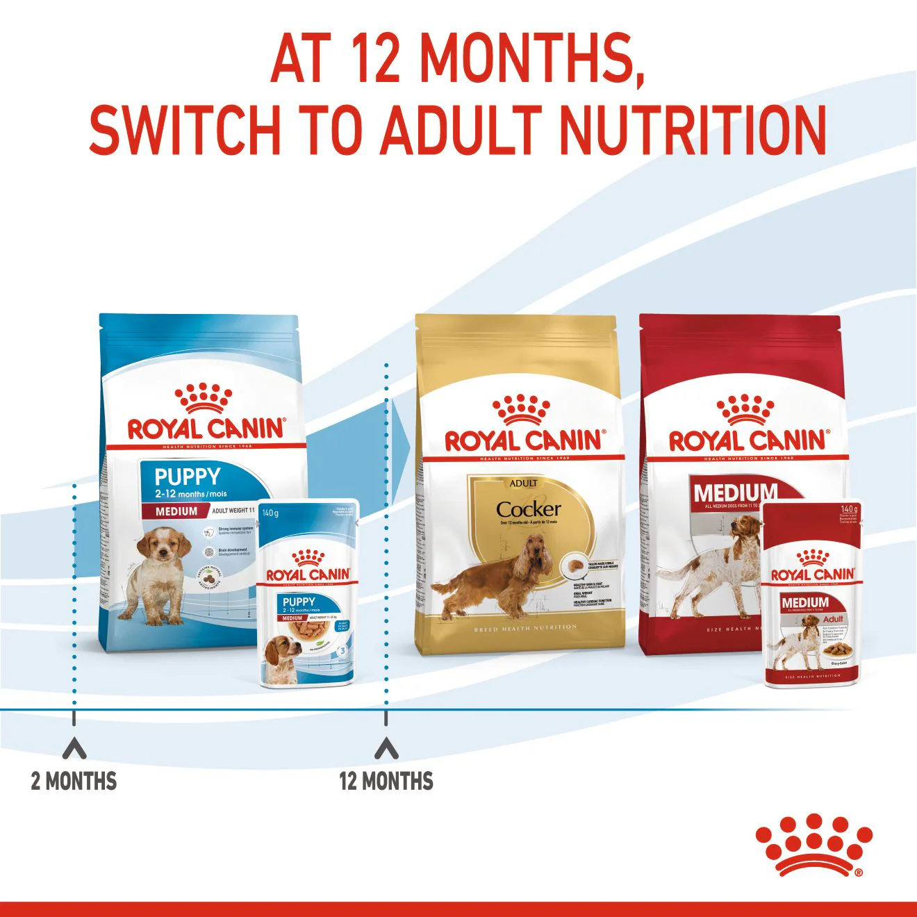 Royal Canin Size Health Nutrition Medium Puppy Multipack in Gravy Wet Dog Food - Image 6