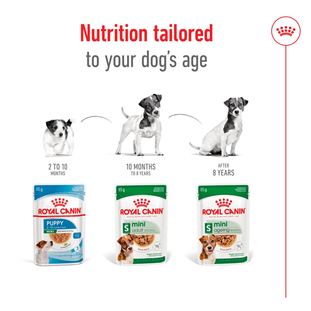 Royal Canin Size Health Nutrition Mini Adult Multipack in Gravy Wet Dog Food - Image 6