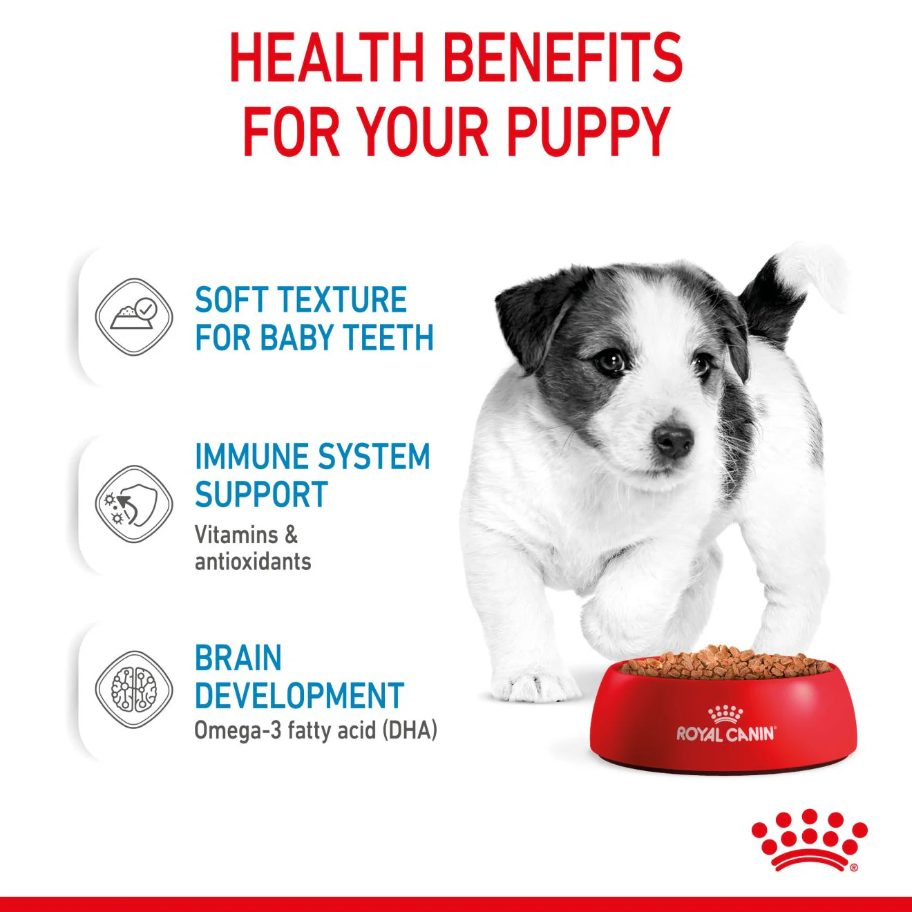 Royal Canin Size Health Nutrition Mini Puppy Multipack in Gravy Wet Dog Food - Image 4