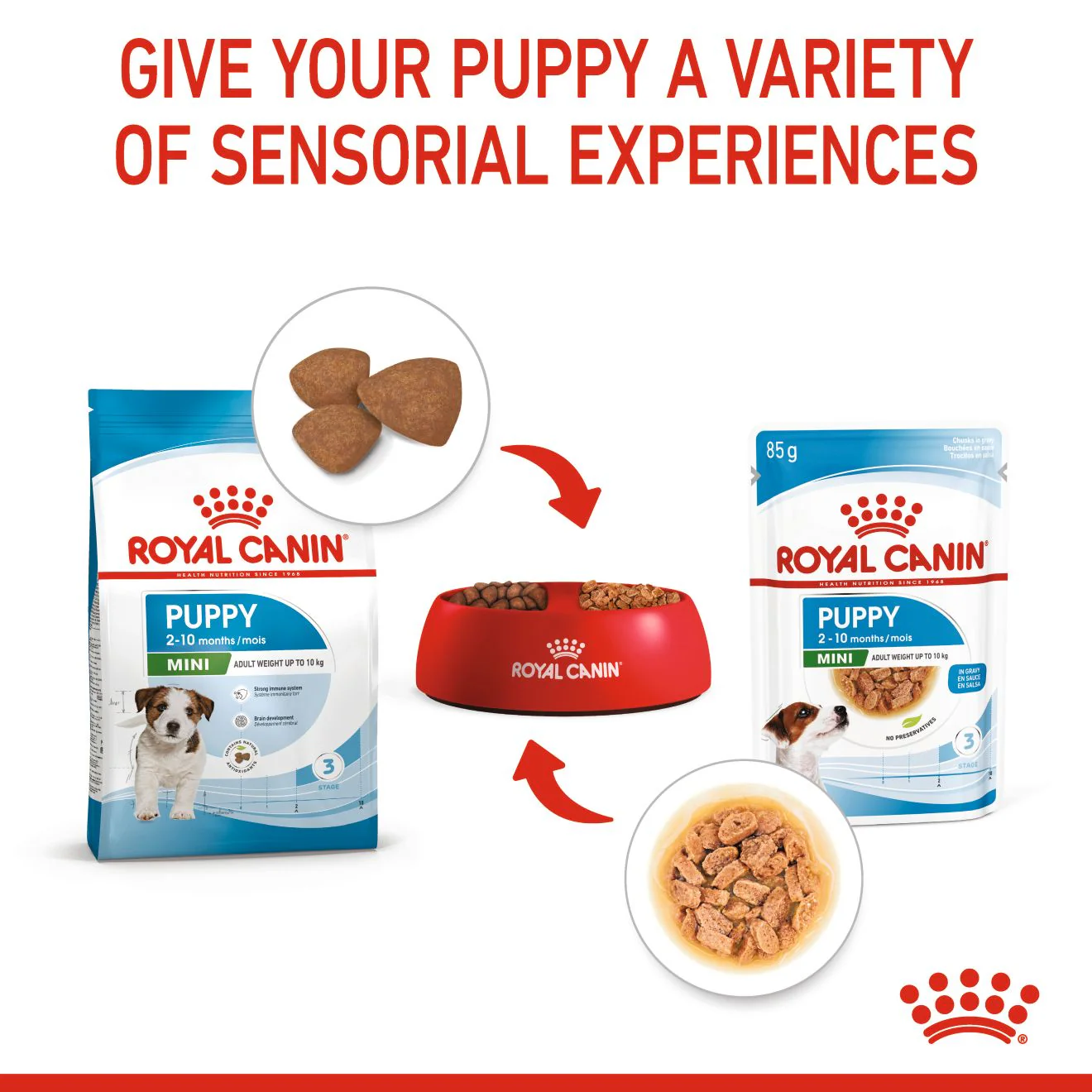 Royal Canin Size Health Nutrition Mini Puppy Multipack in Gravy Wet Dog Food - Image 5