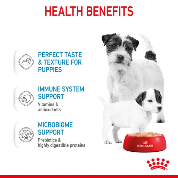 Royal Canin Size Health Nutrition Starter Mother & Baby Dog Adult and Puppy Wet Dog Food - Image 5