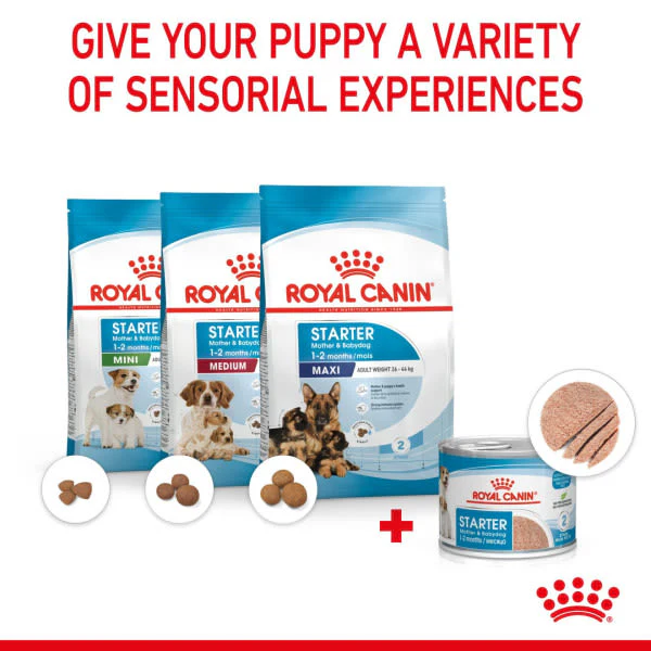 Royal Canin Size Health Nutrition Starter Mother & Baby Dog Adult and Puppy Wet Dog Food - Image 6