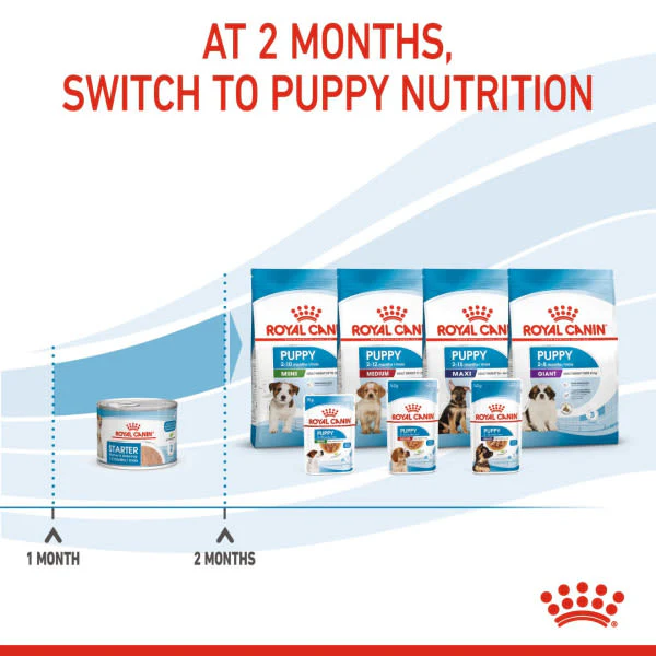Royal Canin Size Health Nutrition Starter Mother & Baby Dog Adult and Puppy Wet Dog Food - Image 9