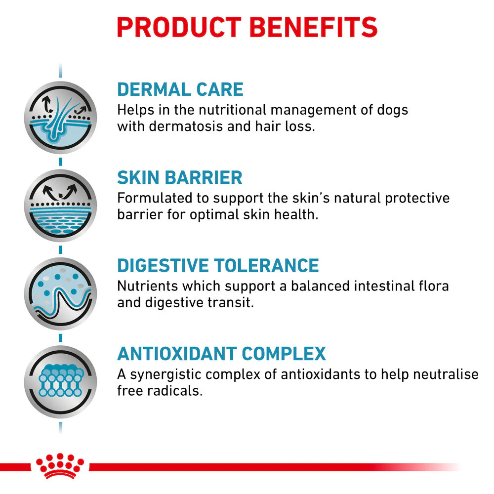 Royal Canin Skin Care Adult Dry Dog Food - Image 4