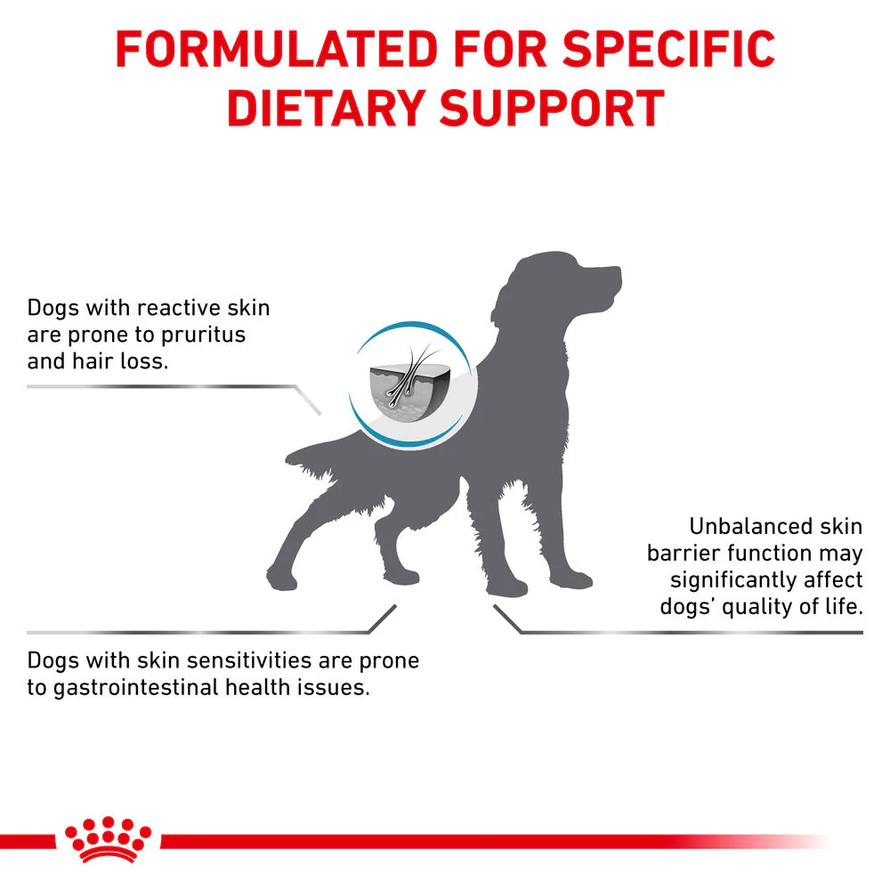 Royal Canin Skin Care Adult Dry Dog Food - Image 8