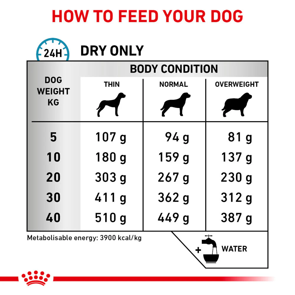 Royal Canin Skin Care Adult Dry Dog Food - Image 9
