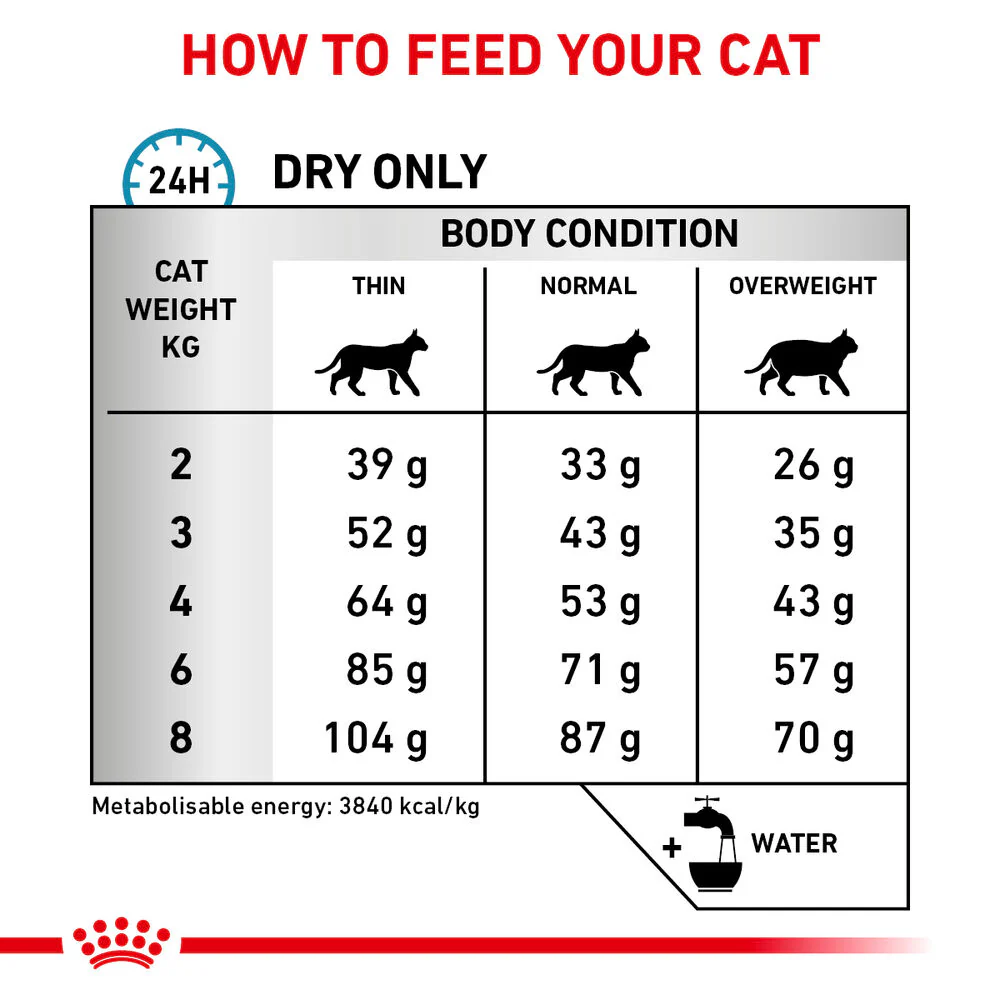 Royal Canin Skin & Coat Adult Dry Cat Food - Image 3