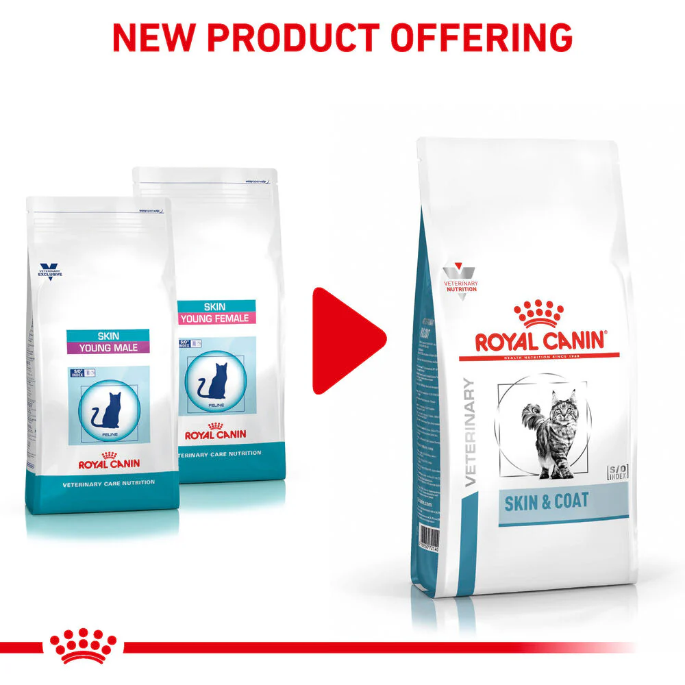 Royal Canin Skin & Coat Adult Dry Cat Food - Image 4