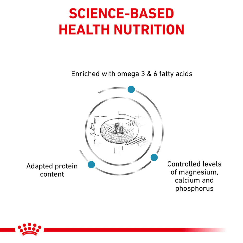 Royal Canin Skin & Coat Adult Dry Cat Food - Image 6