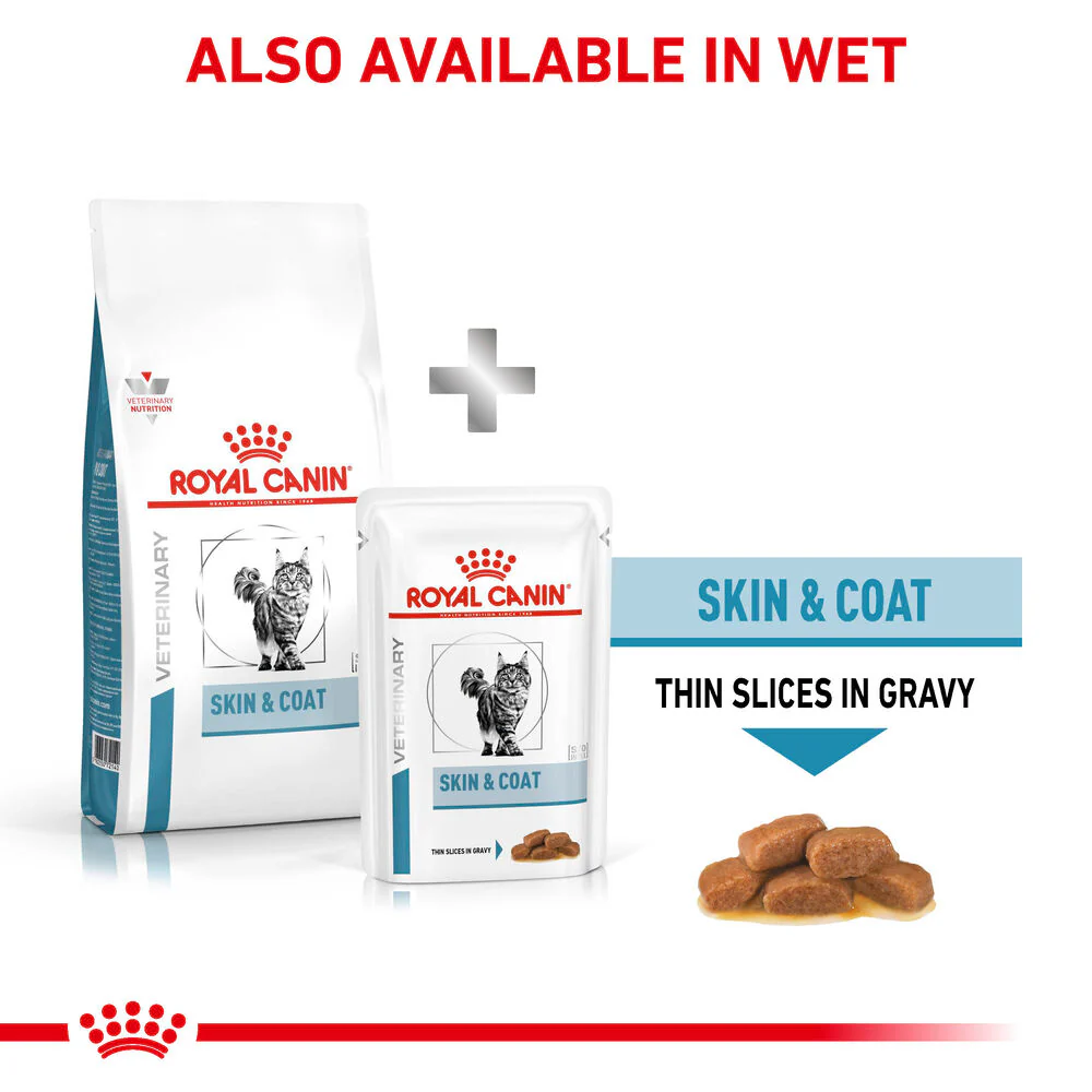 Royal Canin Skin & Coat Adult Dry Cat Food - Image 7