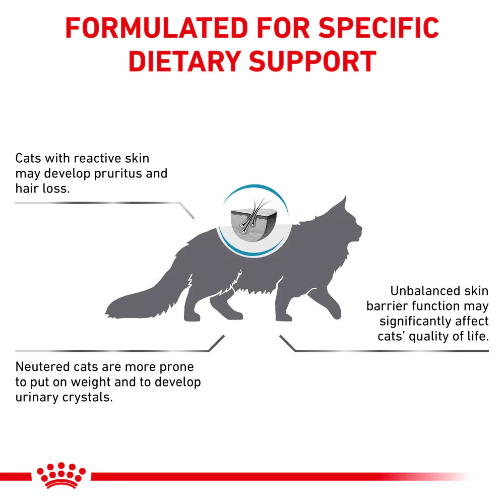 Royal Canin Skin & Coat Adult Dry Cat Food - Image 9