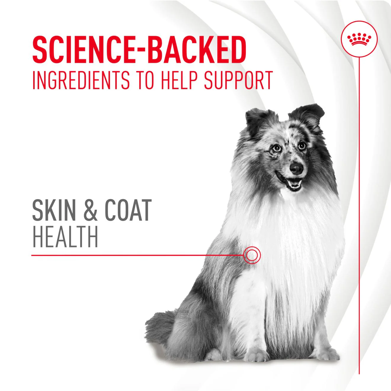 Royal Canin Skin & Coat Soft Chews Adult Dog Supplements - Image 3