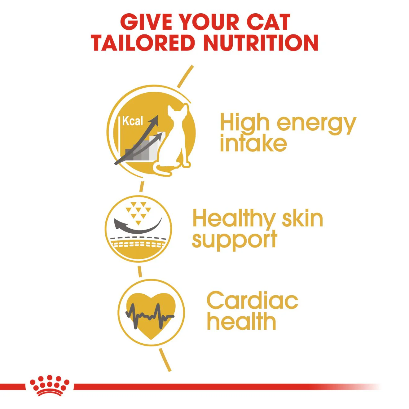 Royal Canin Sphynx Adult Dry Cat Food - 10kg - Image 3