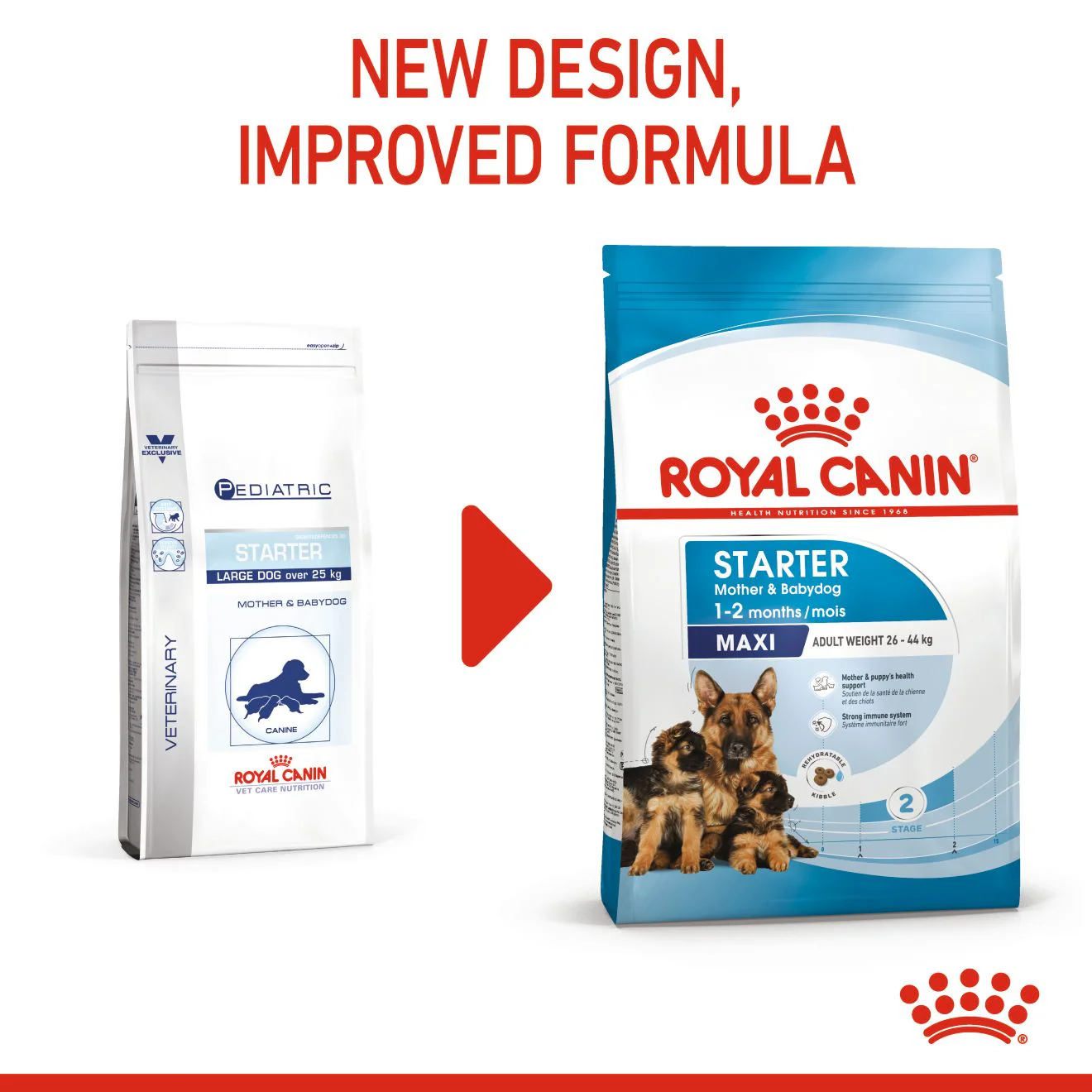 Royal Canin Starter Maxi Mother and Babydog Dry Dog Food - Image 3