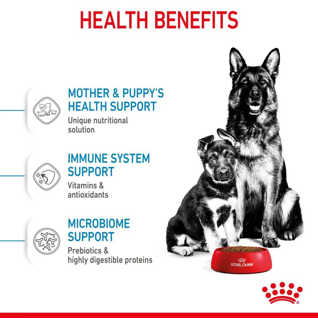 Royal Canin Starter Maxi Mother and Babydog Dry Dog Food - Image 4