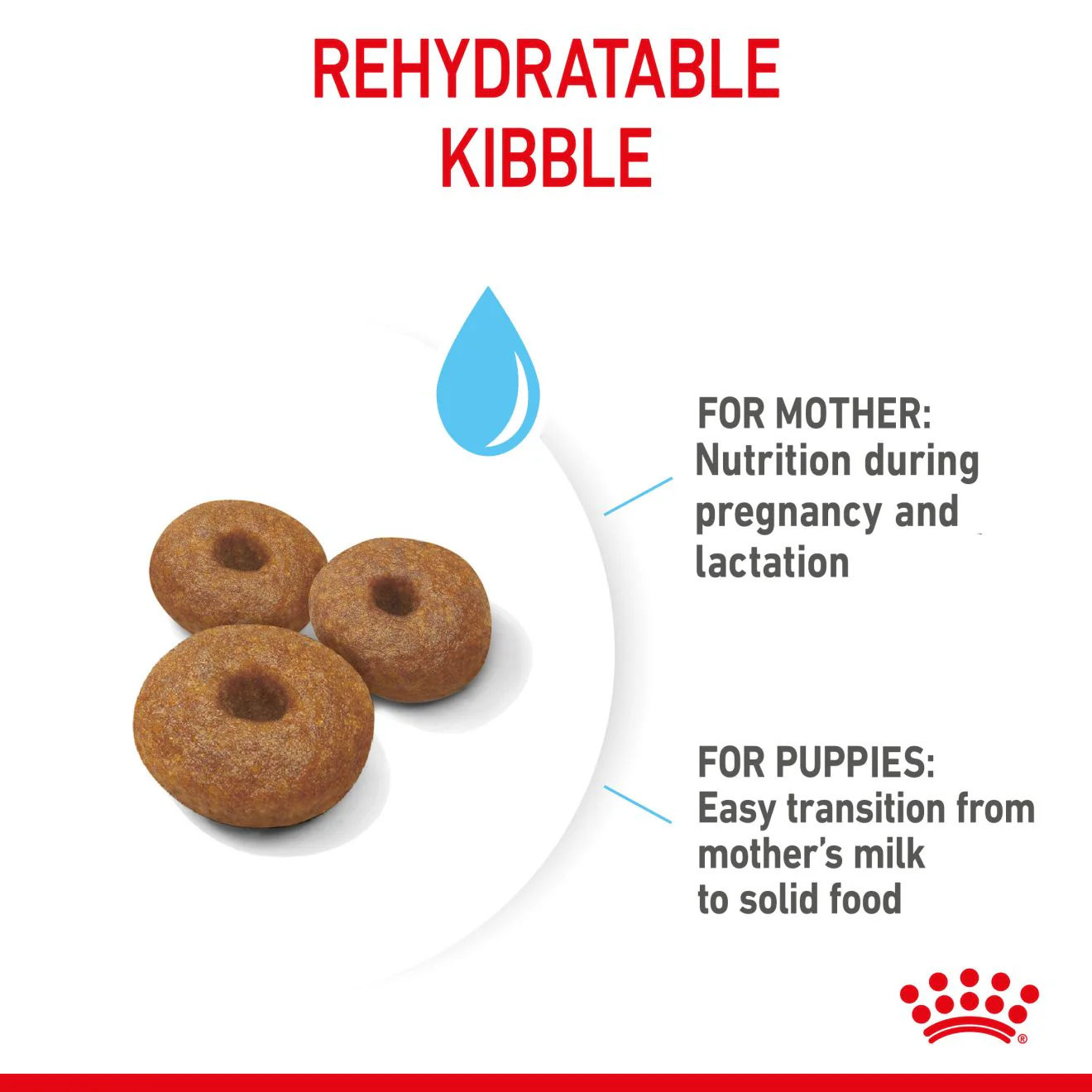 Royal Canin Starter Maxi Mother and Babydog Dry Dog Food - Image 5