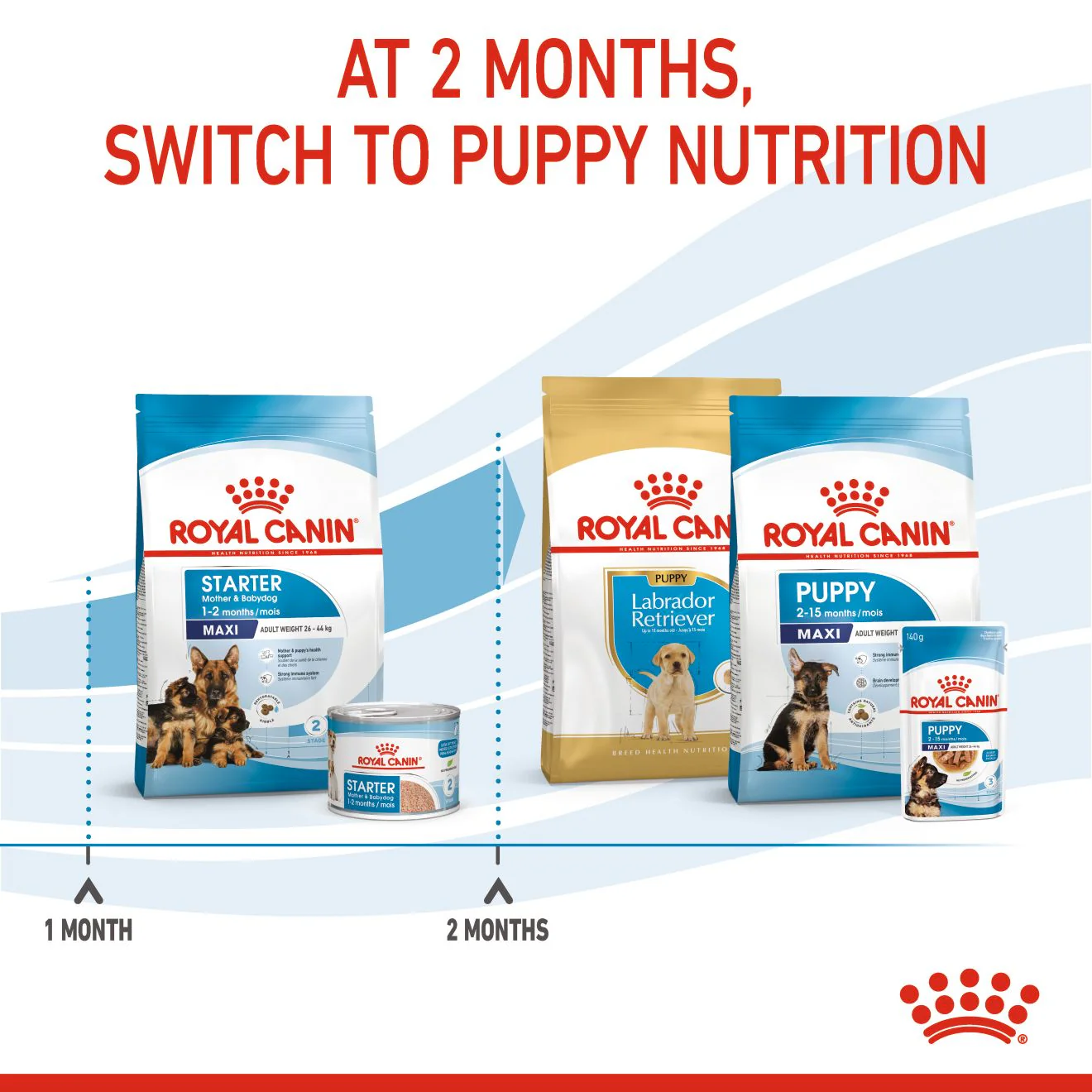 Royal Canin Starter Maxi Mother and Babydog Dry Dog Food - Image 6