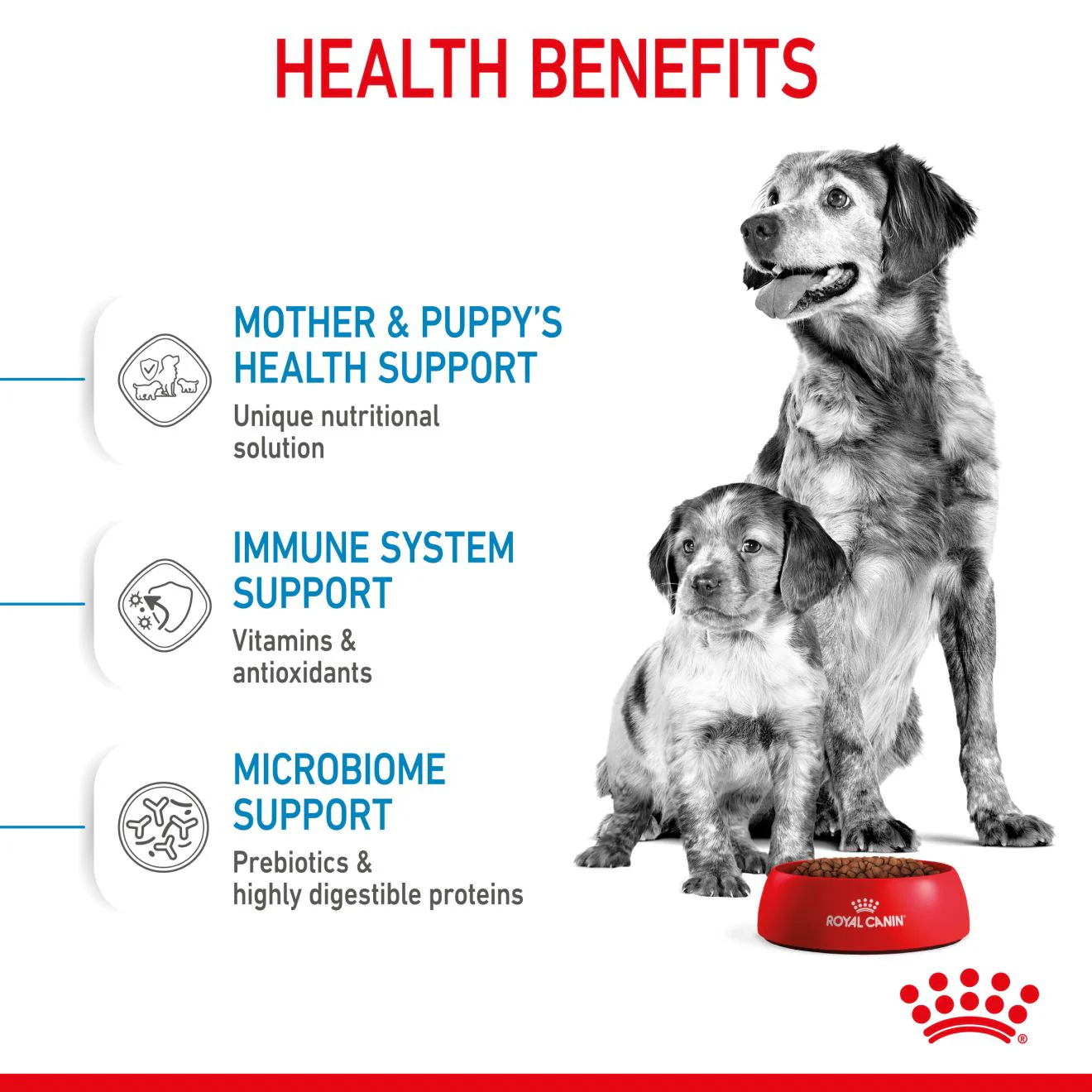 Royal Canin Starter Medium Mother and Babydog Dry Dog Food - Image 4