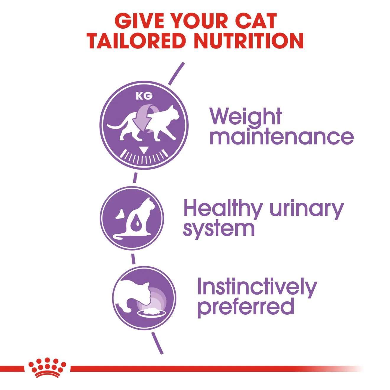 Royal Canin Sterilised Adult in Jelly Wet Cat Food - Image 4