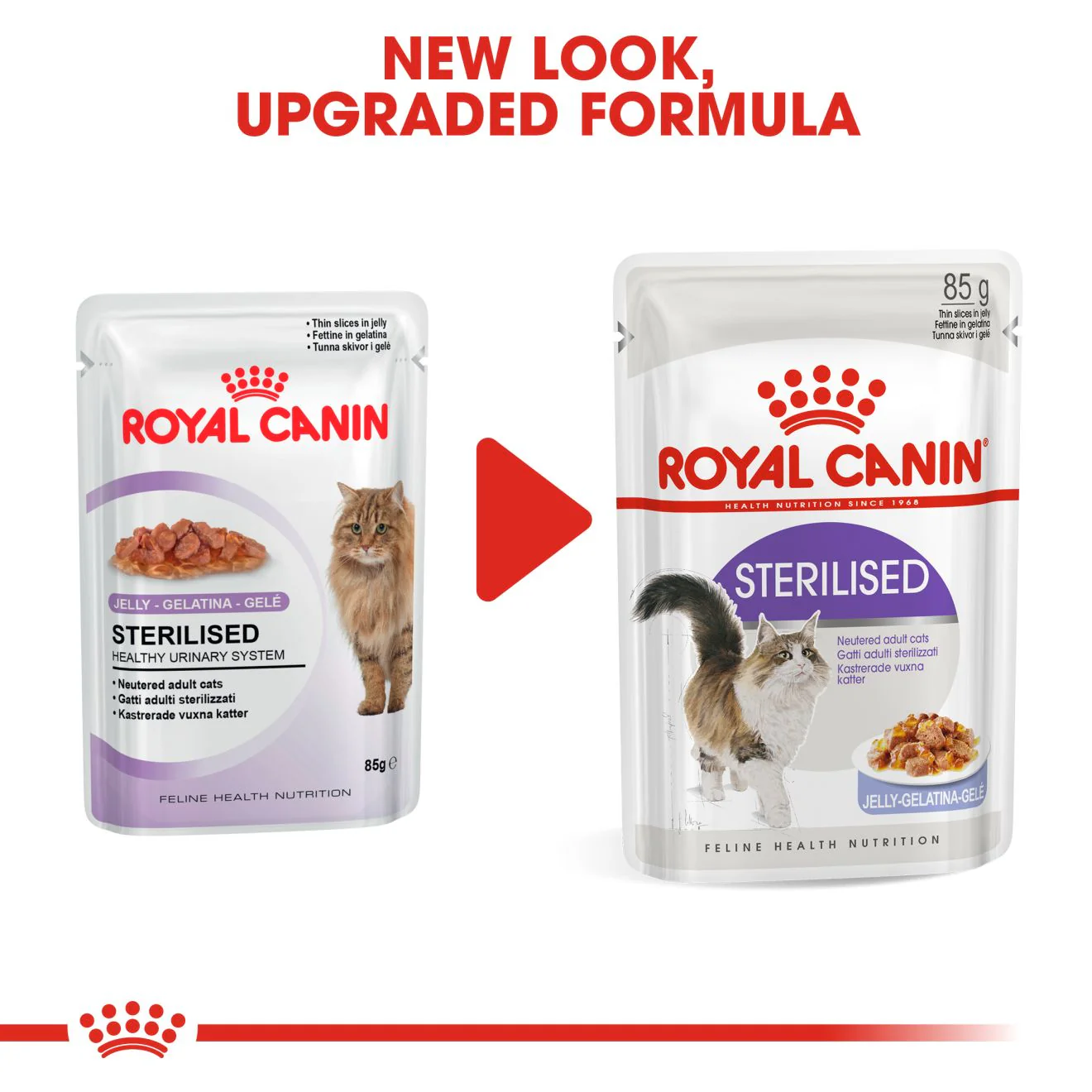 Royal Canin Sterilised Adult in Jelly Wet Cat Food - Image 7
